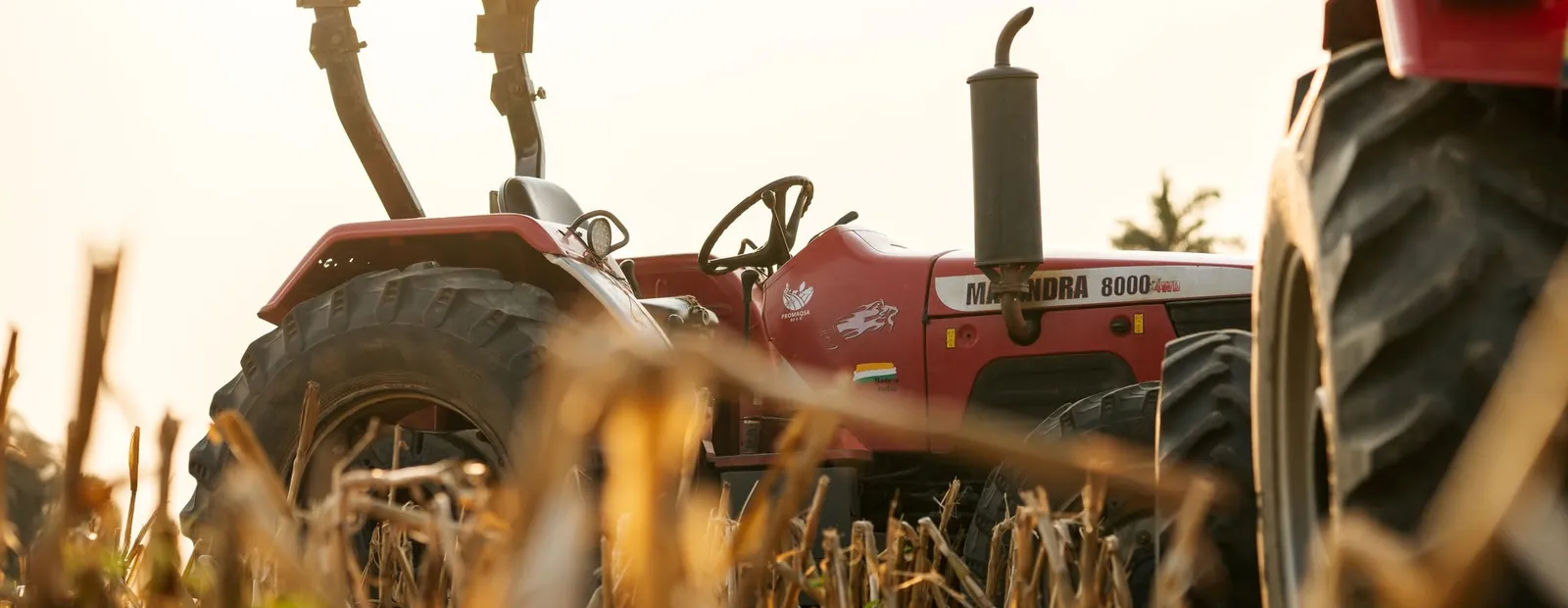 Tractor Mahindra en granos y nogales